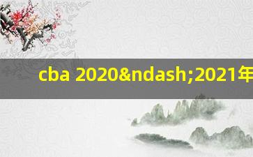 cba 2020–2021年分组